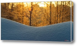   Постер Зимний, солнечный день в лесу