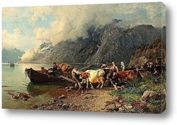   Постер Перемещение Крупного рогатого скота