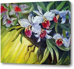   Картина орхидеи