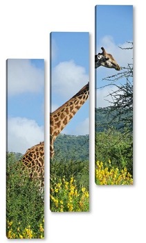 Модульная картина Жираф