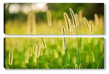 Модульная картина Луговые травы