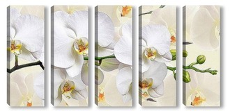 Модульная картина "Орхидея".