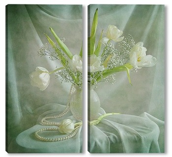  Белые тюльпаны 