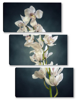 Модульная картина Ветка орхидеи цимбидиум