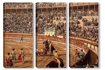 Бой быков, Барселона, Испания, 1890-1900 