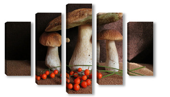 Модульная картина белые грибы