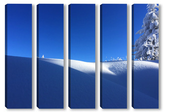  Снежна природа 2 / Snowy nature 2