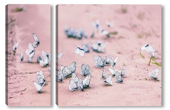 Модульная картина Бабочки