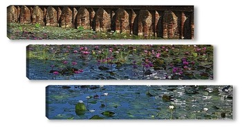 Модульная картина Лотосы - цветы Будды. Цейлон.