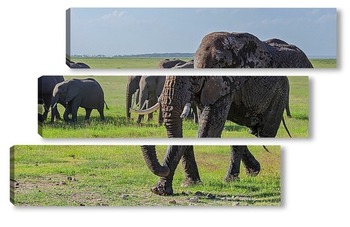  семья слонов