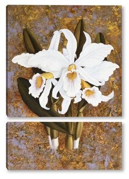 Модульная картина Орхидеи белые
