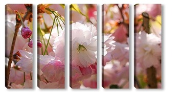  Японская весна