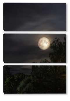 Модульная картина Ночной пейзаж с полной луной