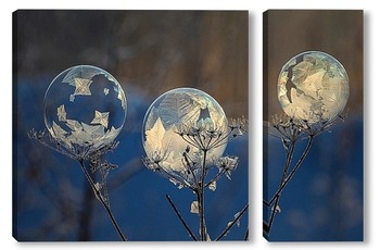  Замёрзшие мыльные пузыри