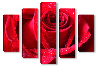 Модульная картина Бутон алой розы крупным планом