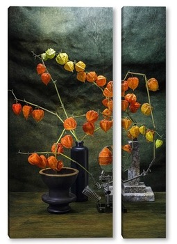  Натюрморт с ветками цветущей абрикосы