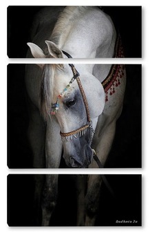 Модульная картина Арабская лошадь