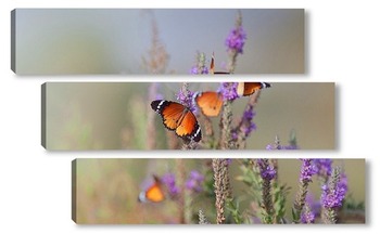 Модульная картина Бабочки - Цветочки