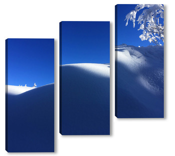 Модульная картина Снежна природа 5 / Snowy nature 5