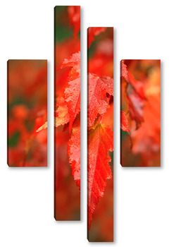 Модульная картина Осенние листья клёна
