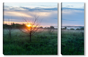 Модульная картина Field and forest at sunset. Tree silhouettes close-up. Evening fog, twilight sky, moonlight. Dark spring landscape. Pastoral rural scene. Nature, seasons, ecology, weather. Panoramic view, copy space