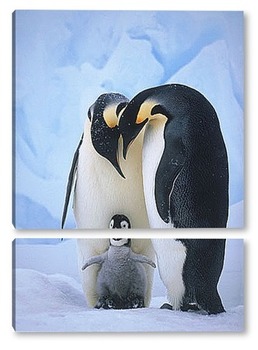 Модульная картина Императорские пингвины с малышом.