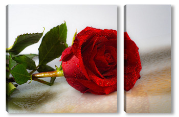 Модульная картина "Красная роза на светлом фоне".