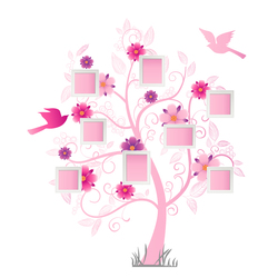    Розовое семейное дерево