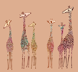    Симпатичные жирафы