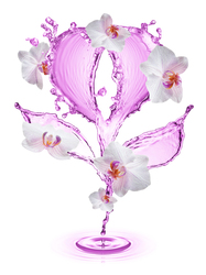    Нежная орхидея из воды