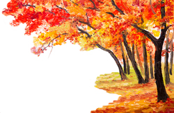    Осенний пейзаж