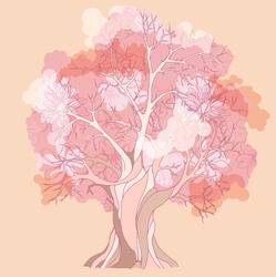   Розовое дерево